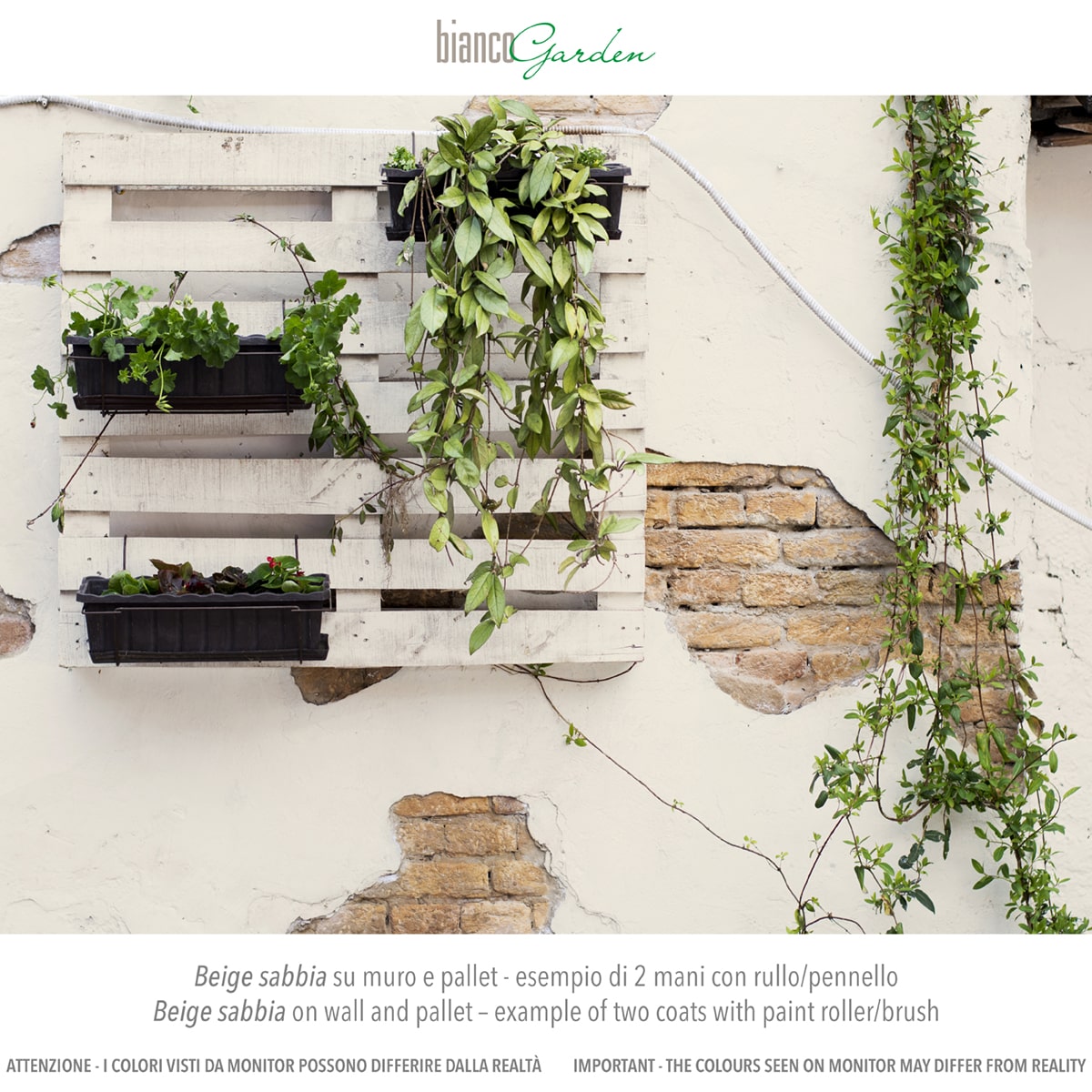 Muro esterno con chalk paint Beige Sabbia Muro esterno con chalk paint Beige Sabbia