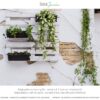 Muro esterno con chalk paint GRIGIO PIETRA