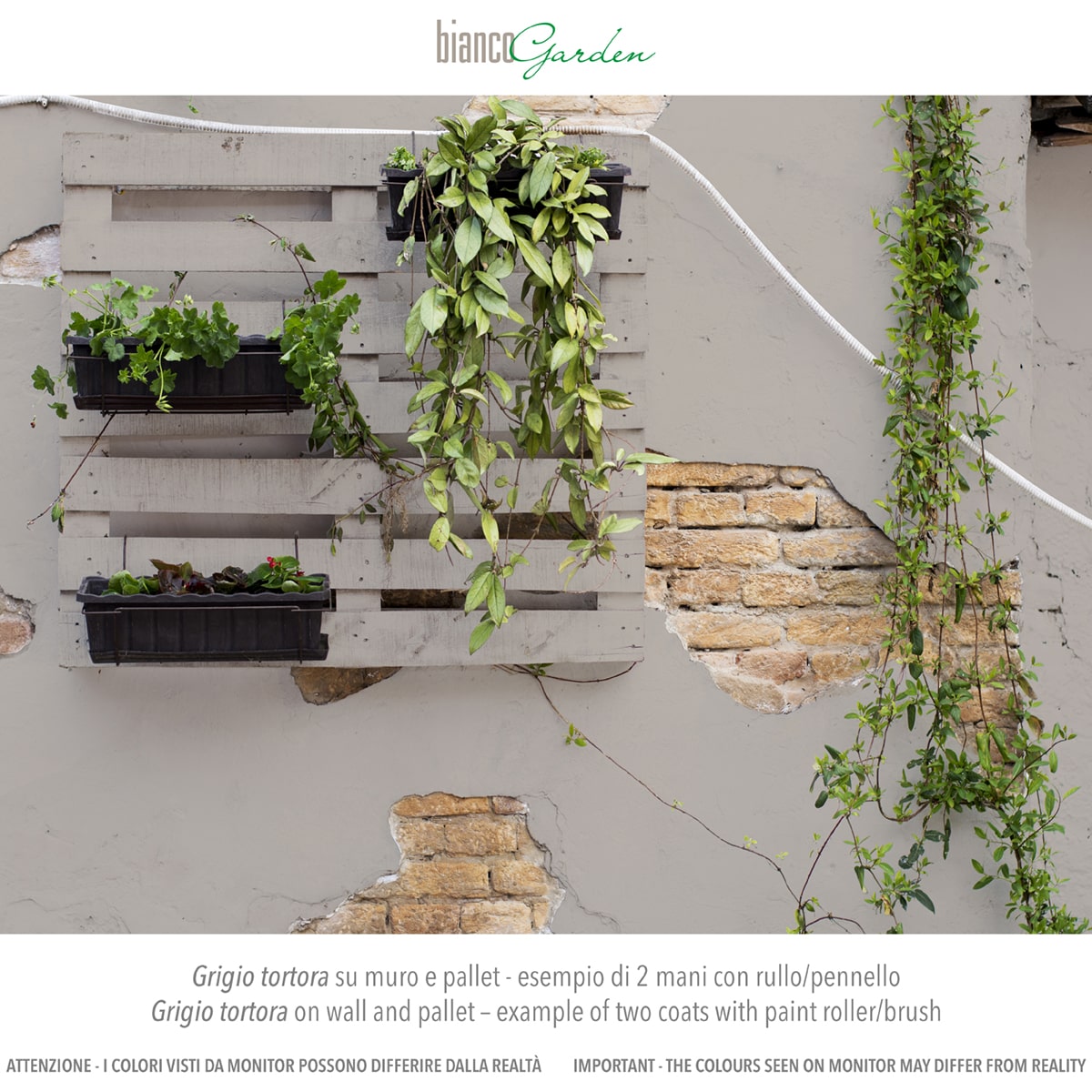 Muro esterno con chalk paint Grigio Tortora Muro esterno con chalk paint Grigio Tortora