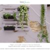 Chalk Paint da Esterno Prugna - Thumbnail Image 3