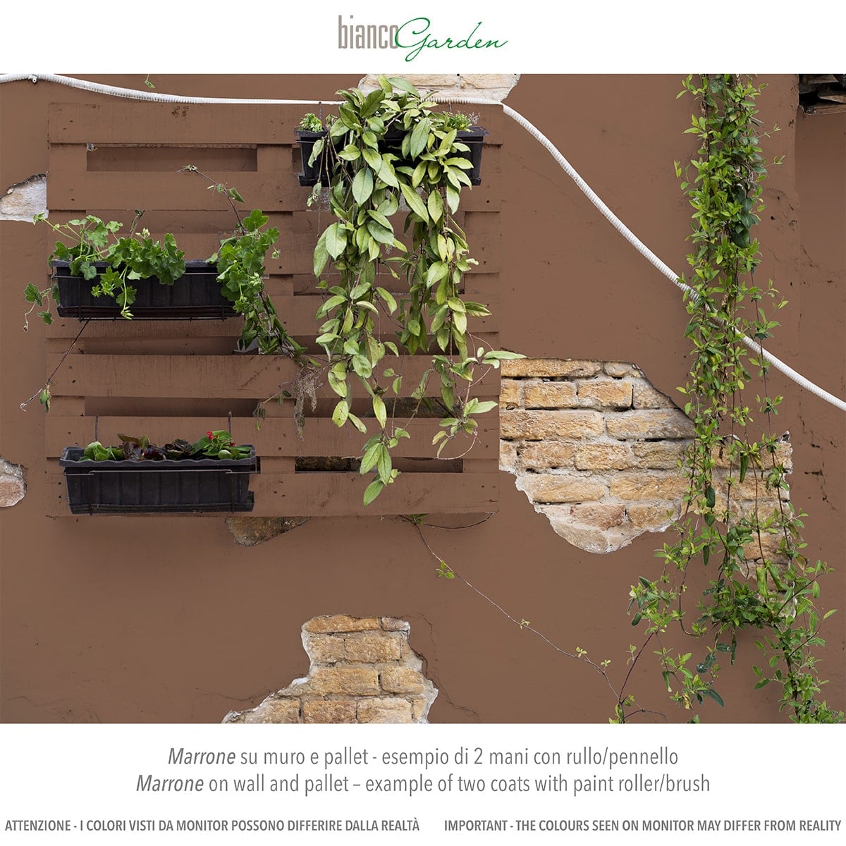 Parete Marrone BG Min