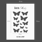 BSSTBA LAR09 3